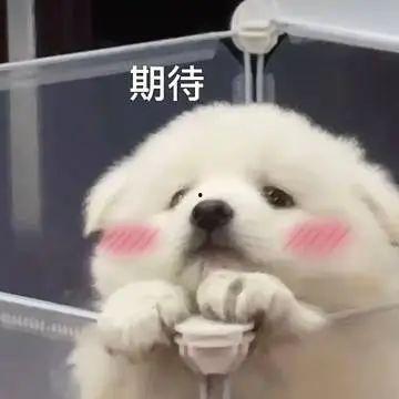 吃瓜群免费聊天记录下载,一场全民参与的娱乐盛宴  第3张